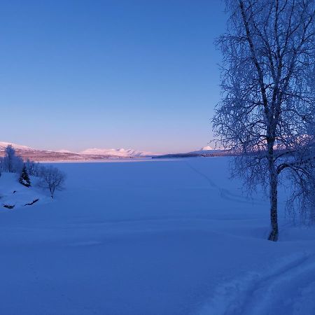Villmarksgard Tommerstue Hattfjelldal Eksteriør billede