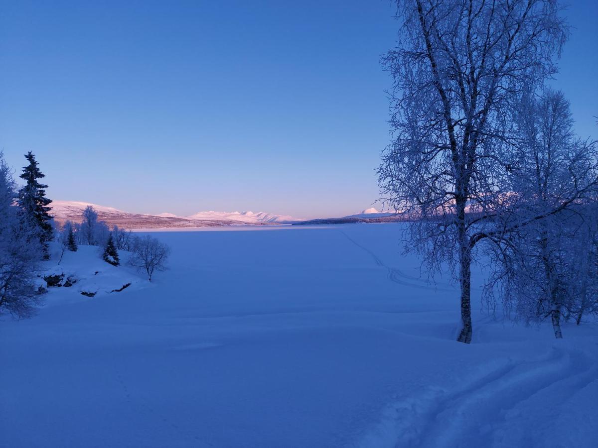 Villmarksgard Tommerstue Hattfjelldal Eksteriør billede