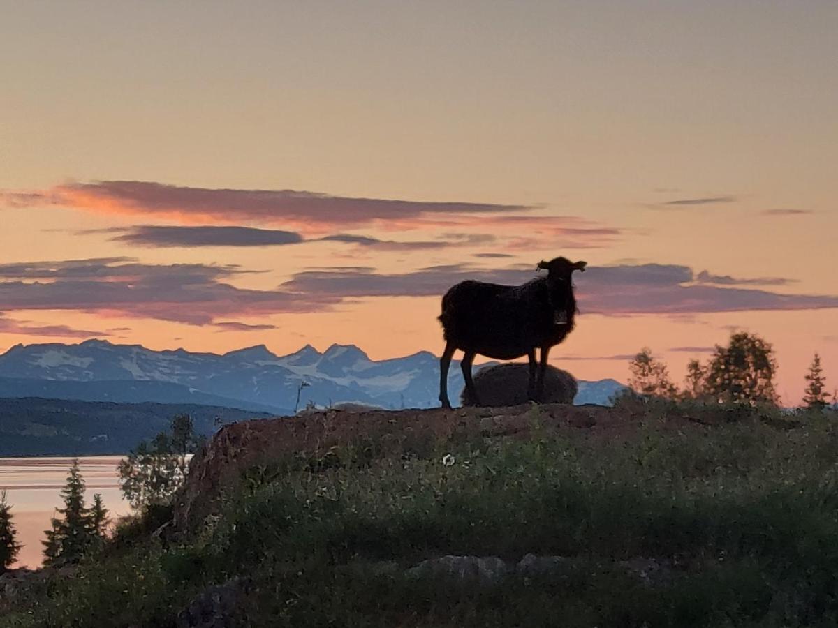 Villmarksgard Tommerstue Hattfjelldal Eksteriør billede