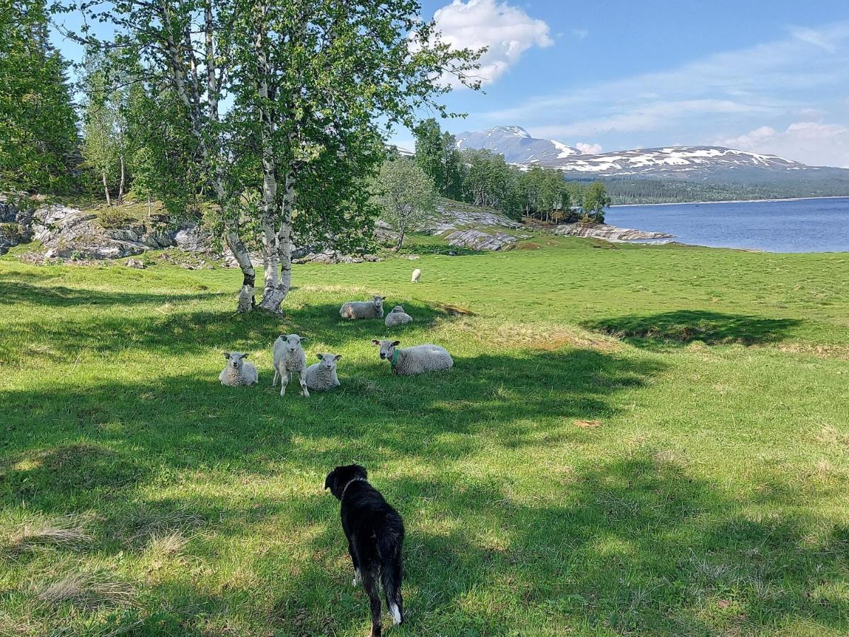 Villmarksgard Tommerstue Hattfjelldal Eksteriør billede